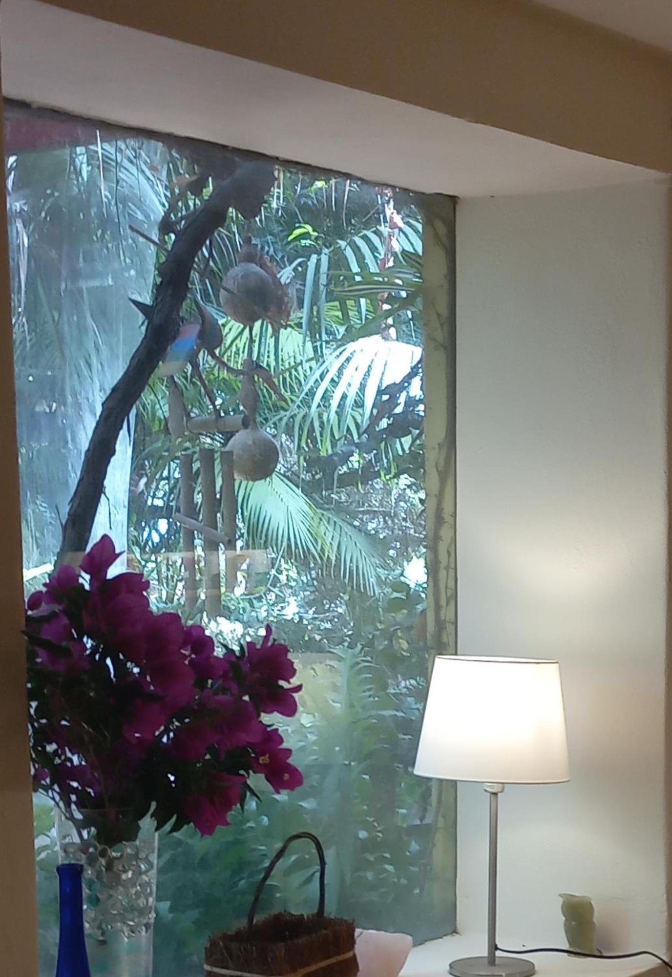 הוילה Vivelorural Casita Vintage, Santa Brigida מראה חיצוני תמונה